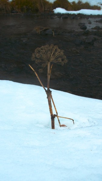 RIMG0430.jpg RIMG0430