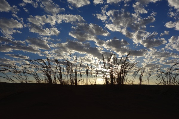 DSC00529.JPG A high-contrast landscape photograph of a series of sand dunes silhouetted against a bright, cloud-filled sky. The dunes, which form a gentle, dark curve at the bottom of the frame, are in the foreground, catching the last light of the day or the first light of dawn. The sky is the dominant feature, with a dramatic pattern of small, scattered white clouds that appear to be in a flurry across the blue expanse above the desert horizon.