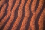 A close-up, high-contrast photograph of wind-swept, reddish-orange desert sand dunes, showing dramatic, flowing patterns of light and shadow. The image's intense color and texture echo the poem's vivid and visceral language about 'blood-stained sheets' and the 'dusky damask' of the landscape.