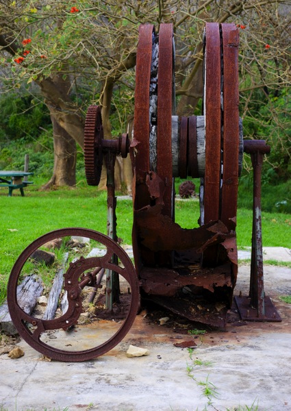 DSC01072.jpg A photograph of a piece of old, rusty, and decaying farm machinery, with a large, circular cog lying on the ground in the foreground. The image was taken at the historic Ellensbrook homestead on the Cape to Cape Walk. The visual decay and the cogs of the machine serve as a powerful metaphor for the post's title, 'timepiece'.