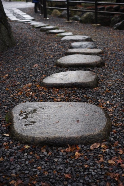 A path of large, flat, grey stepping stones laid out in a winding, single-file line on a bed of small pebbles and leaves in a Japanese garden. The arrangement of the stones, which recedes into the distance, visually evokes a spinal column, forming the central visual pun for the post's title, "backbone."