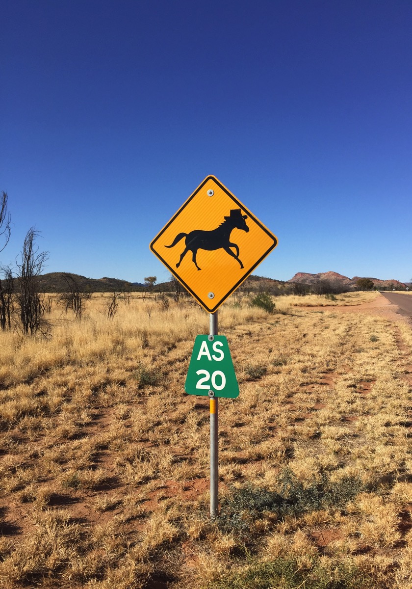 A yellow, diamond-shaped road sign on a dirt road in the Australian Outback. The sign features a black silhouette of a horse in a prancing pose, with a distinct top hat on its head. The image is a direct visual representation of the poem's theme of a "dandy" horse "putting on the ritz" and performing a "desert dressage prance.