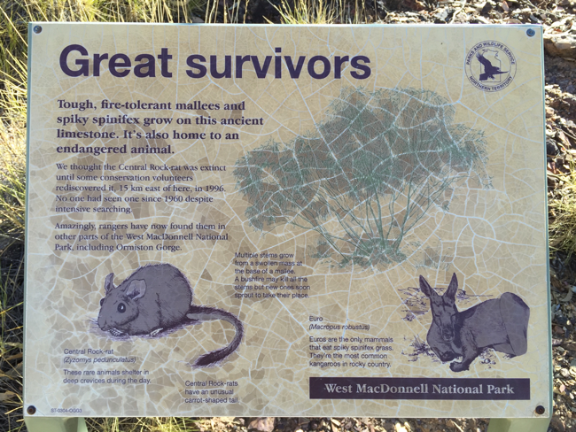 A slightly weathered park sign titled "Great survivors" from the West MacDonnell National Park. The sign features text describing the resilient native flora of the region, including "tough, fire-tolerant mallee and spiky spinifex" found on the limestone. It highlights the area as home to an endangered native mouse. Illustrations of two small, grey native mice are prominent on the sign, one on the left and one on the right, set against a stylized background depicting the local environment. The sign also includes a logo of a bird in flight and the words "West MacDonnell National Park" at the bottom.